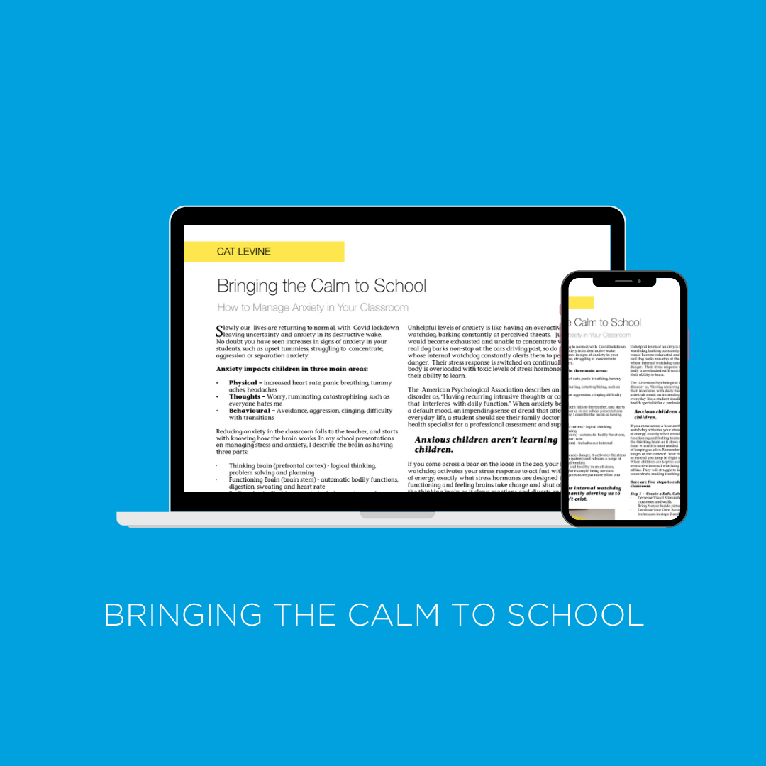 Bringing the Calm To School