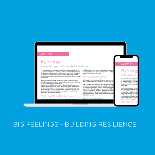 Big Feelings - 4 Ways Talking About Feelings Builds Resilience